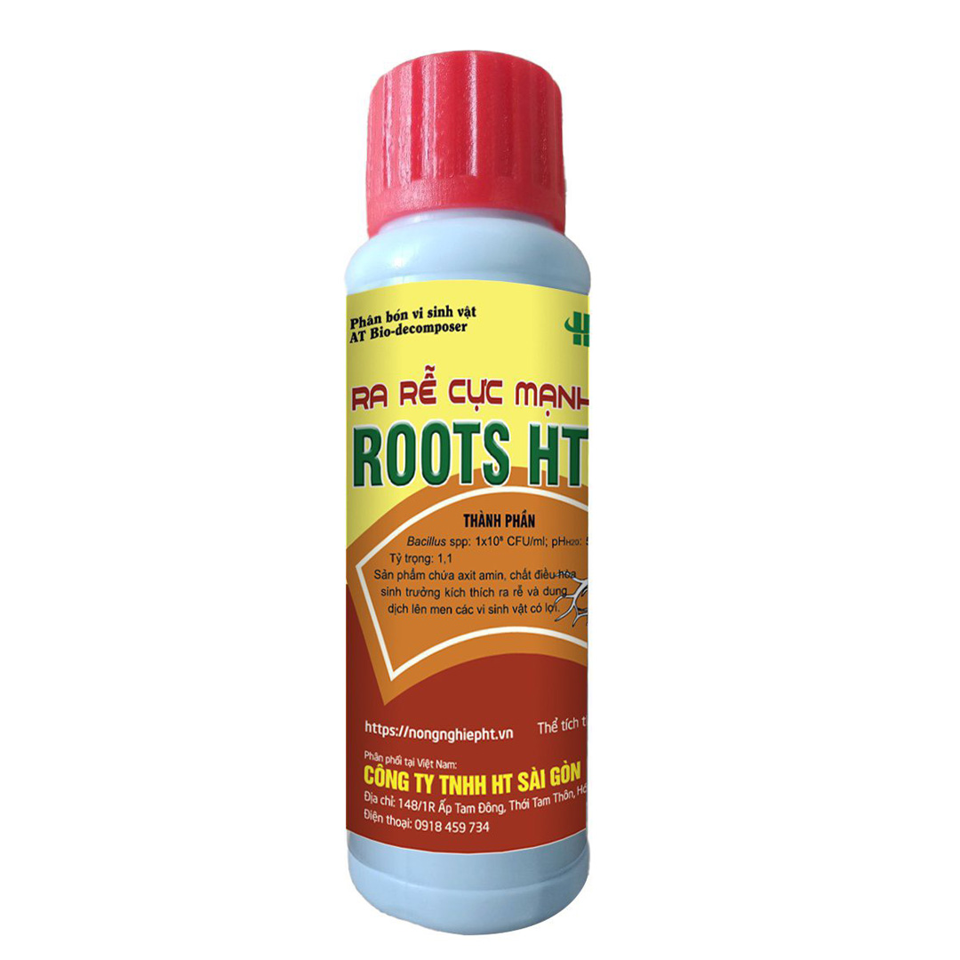 ROOTS HT