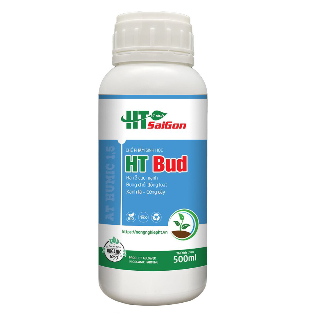 HT Bud (500ml)