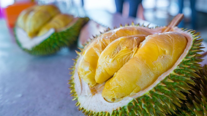 Tất tần tật thông tin về sầu riêng Musang King (Đầy đủ)